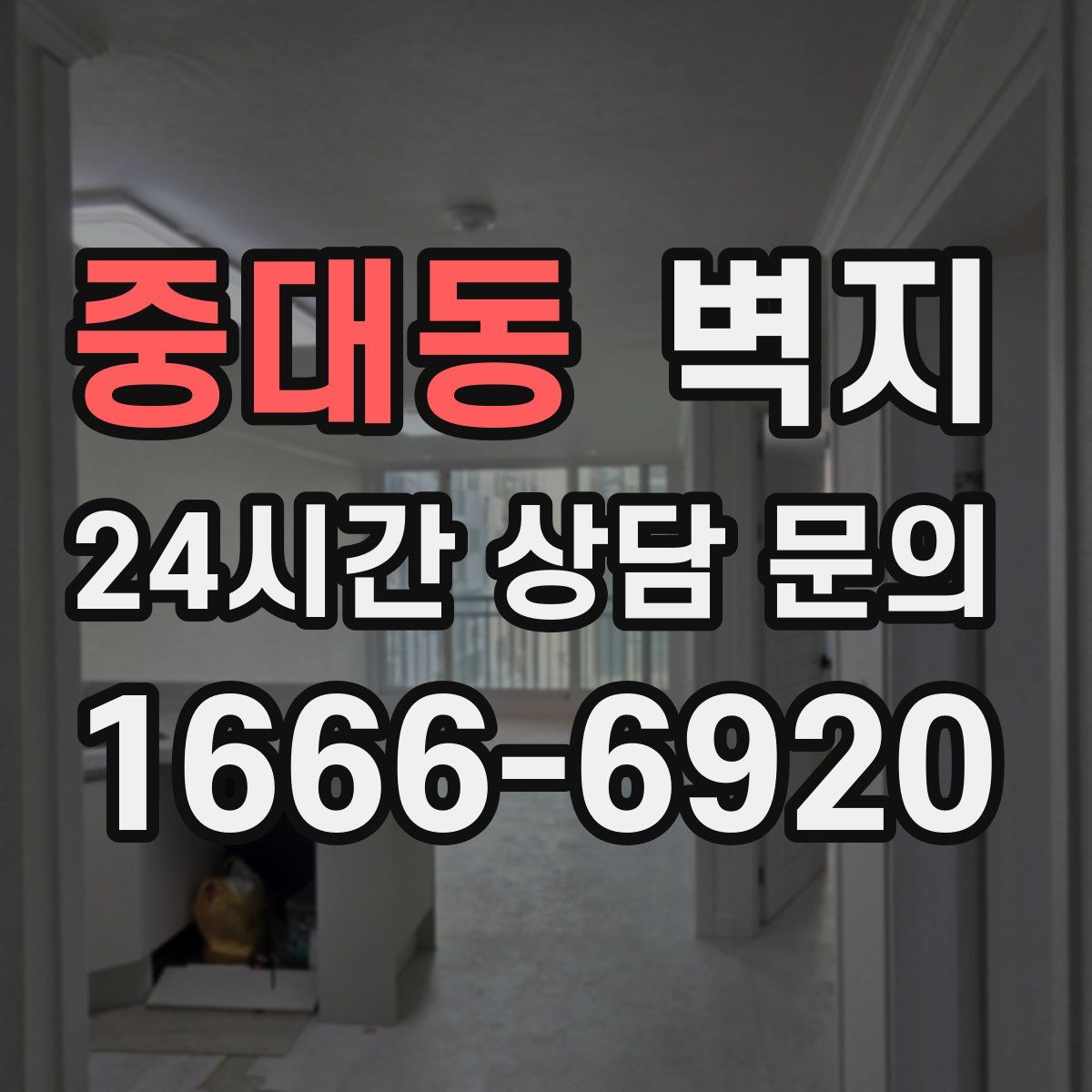 중대동 벽지