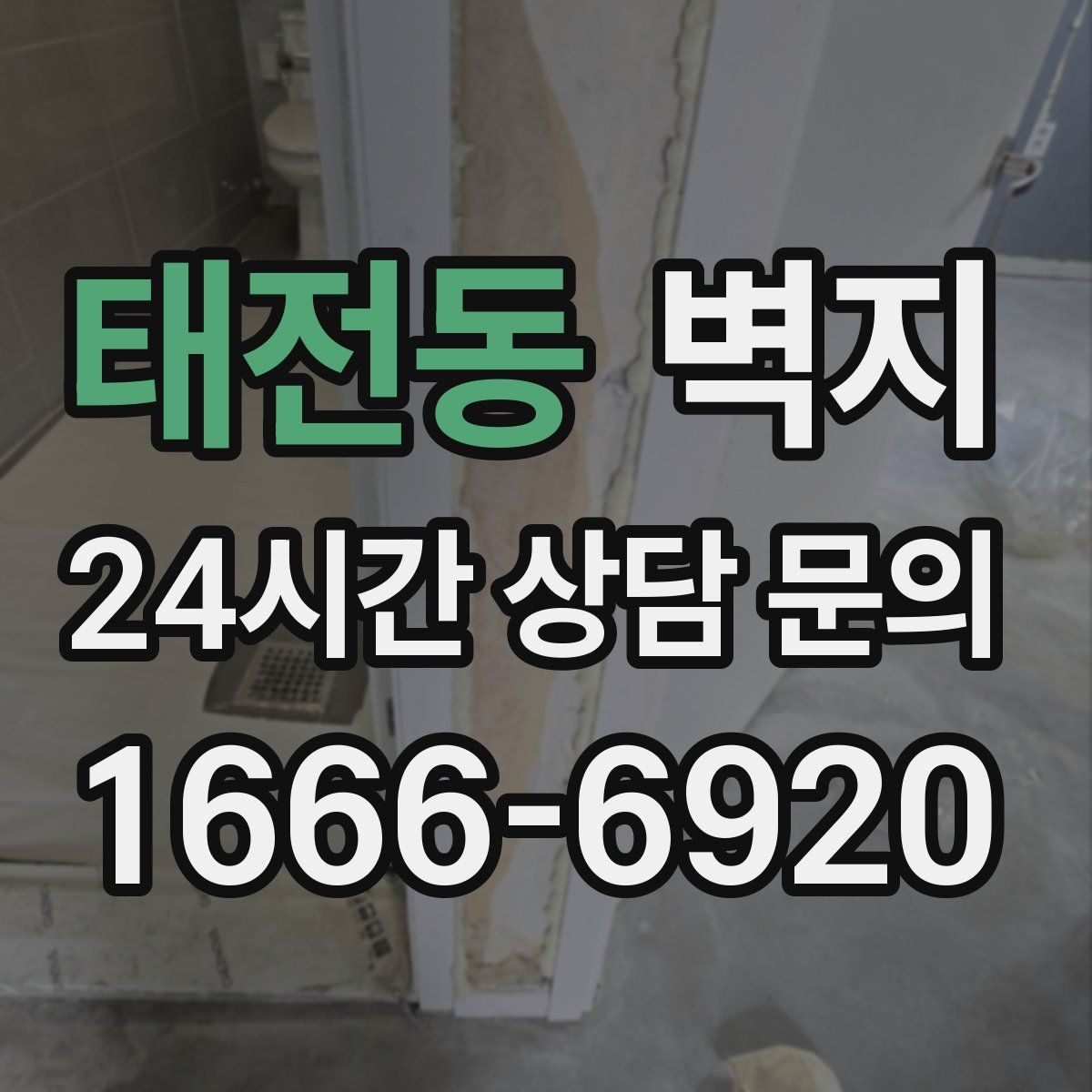 태전동 벽지