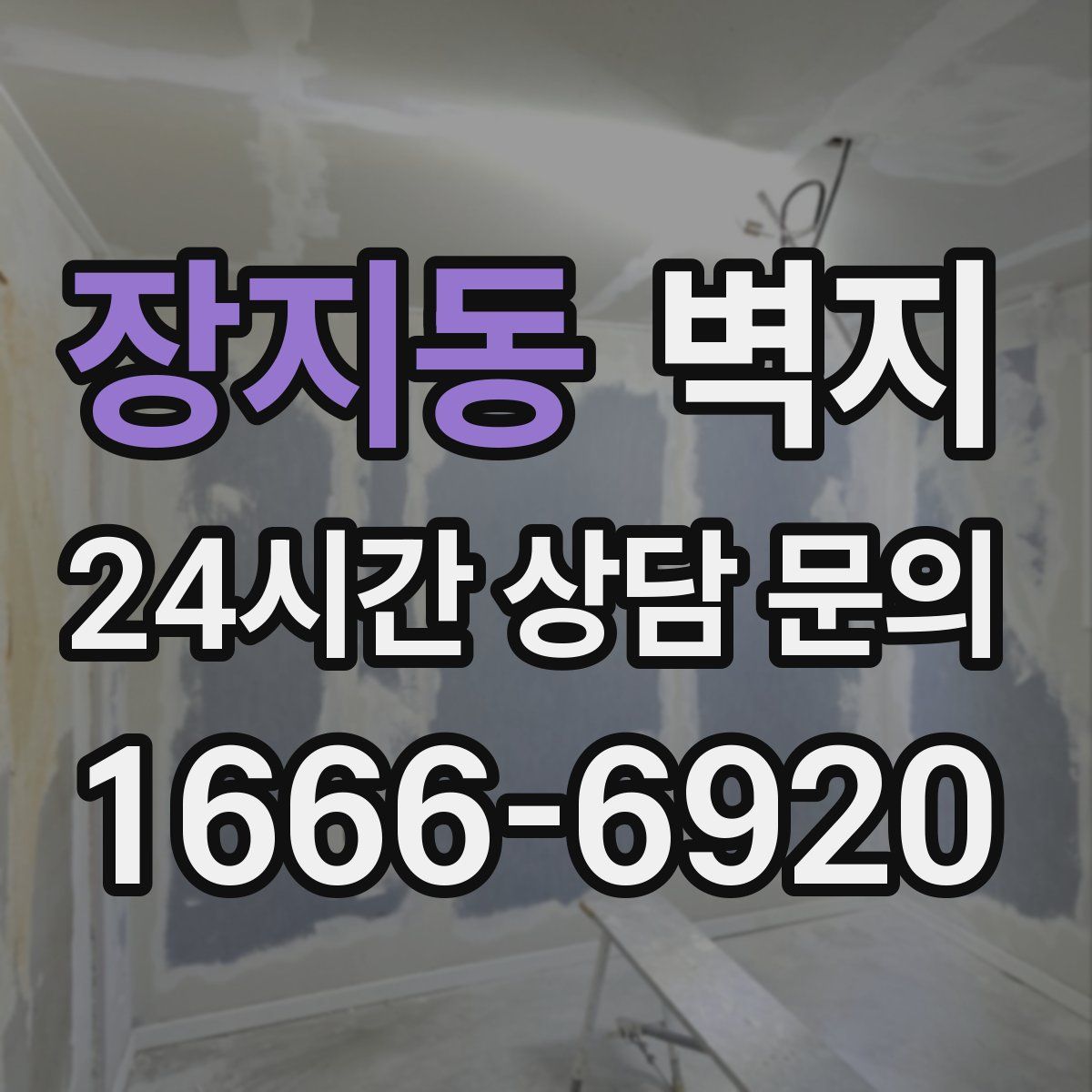 장지동 벽지