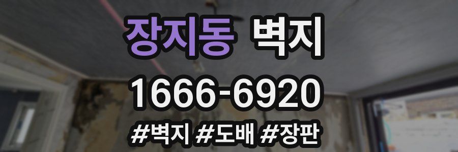 장지동 벽지