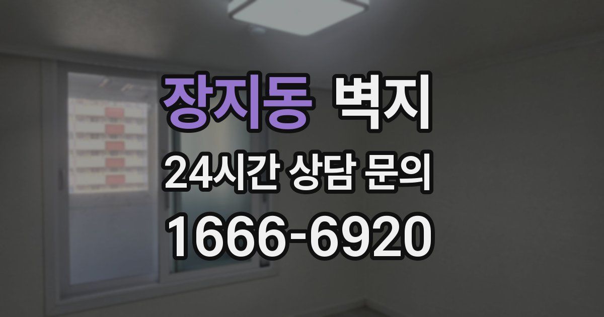 장지동 벽지