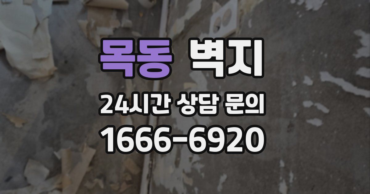목동 벽지
