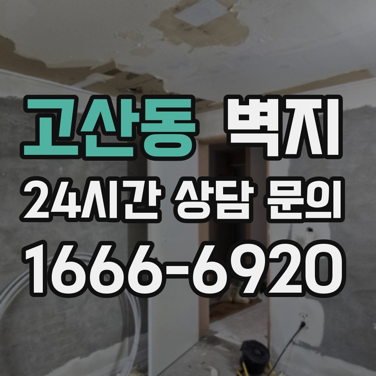 고산동 벽지