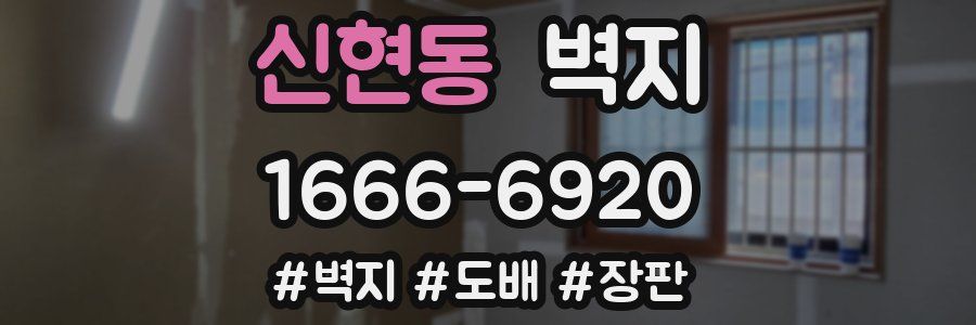 신현동 벽지