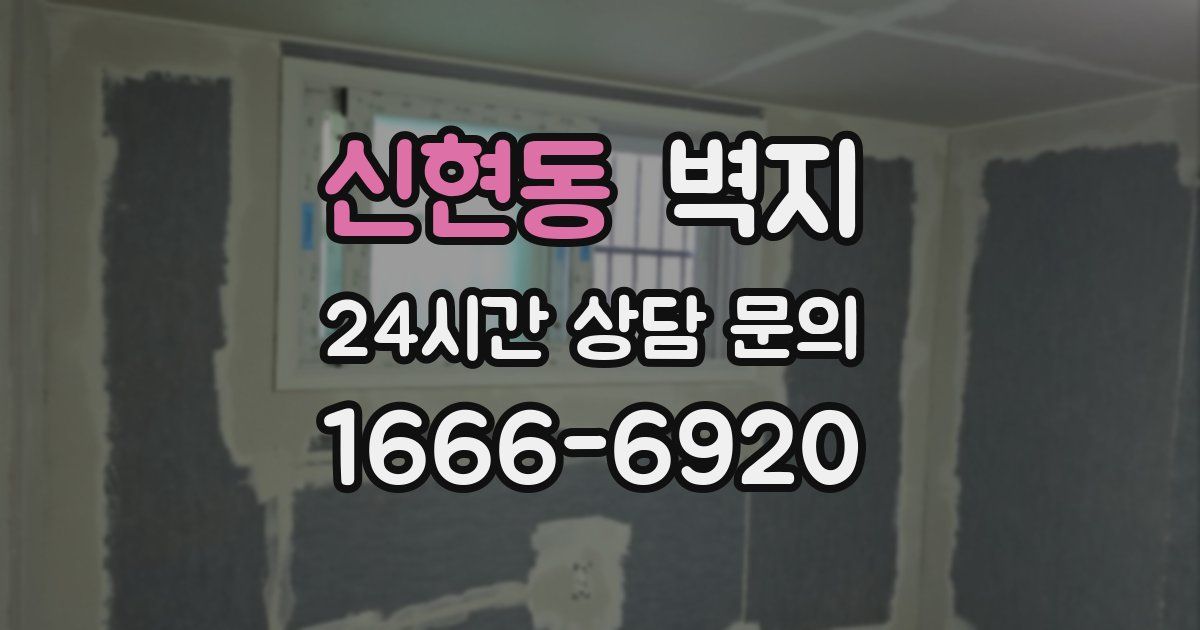 신현동 벽지