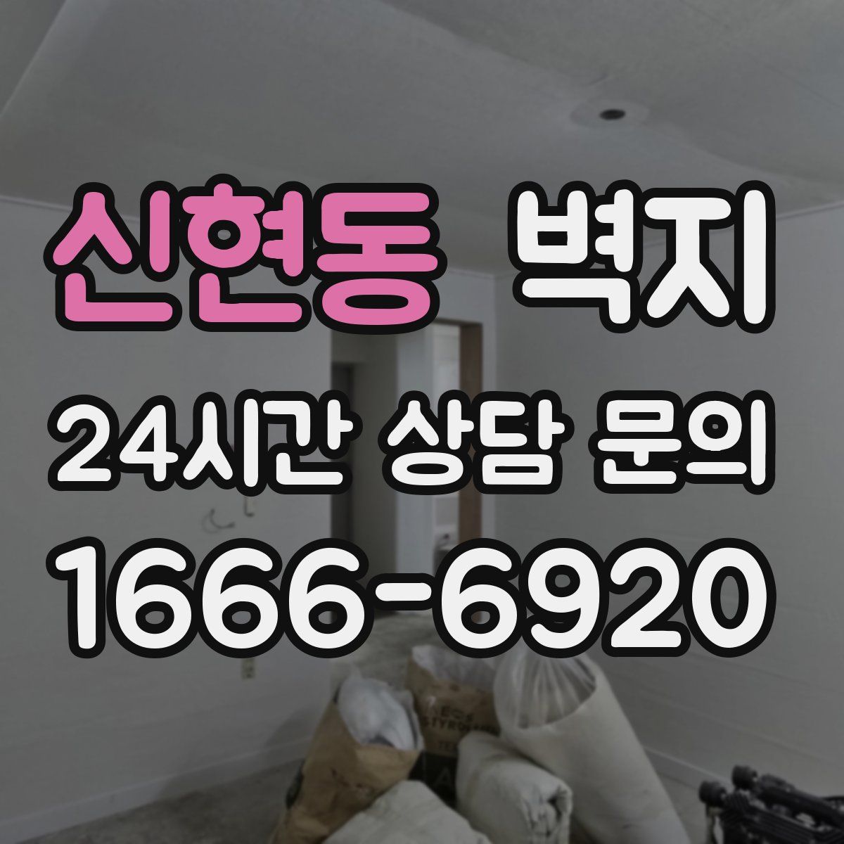 신현동 벽지
