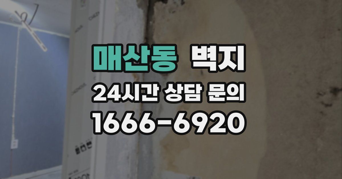 매산동 벽지
