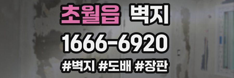 초월읍 벽지