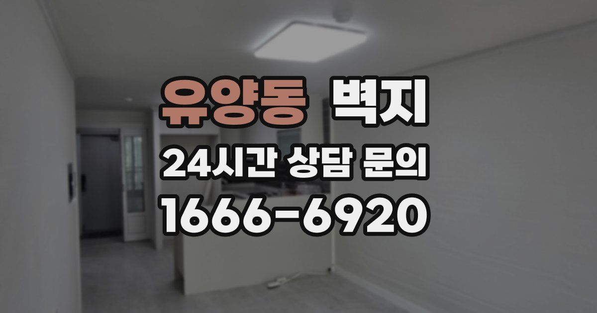 유양동 벽지