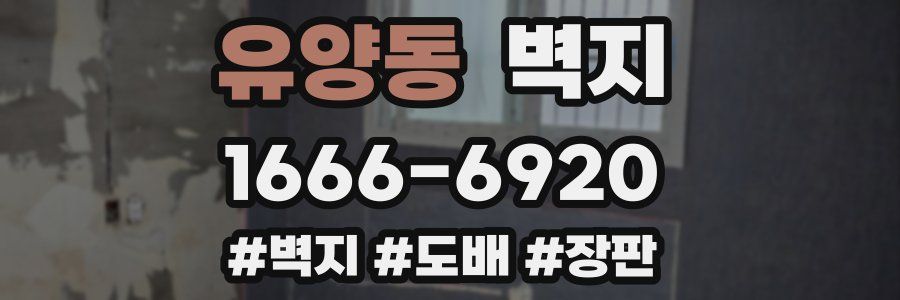 유양동 벽지