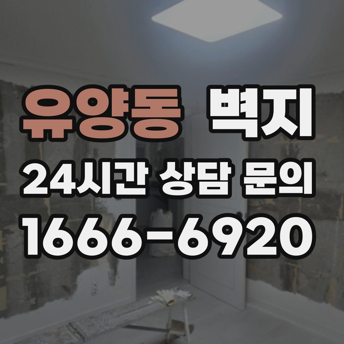 유양동 벽지