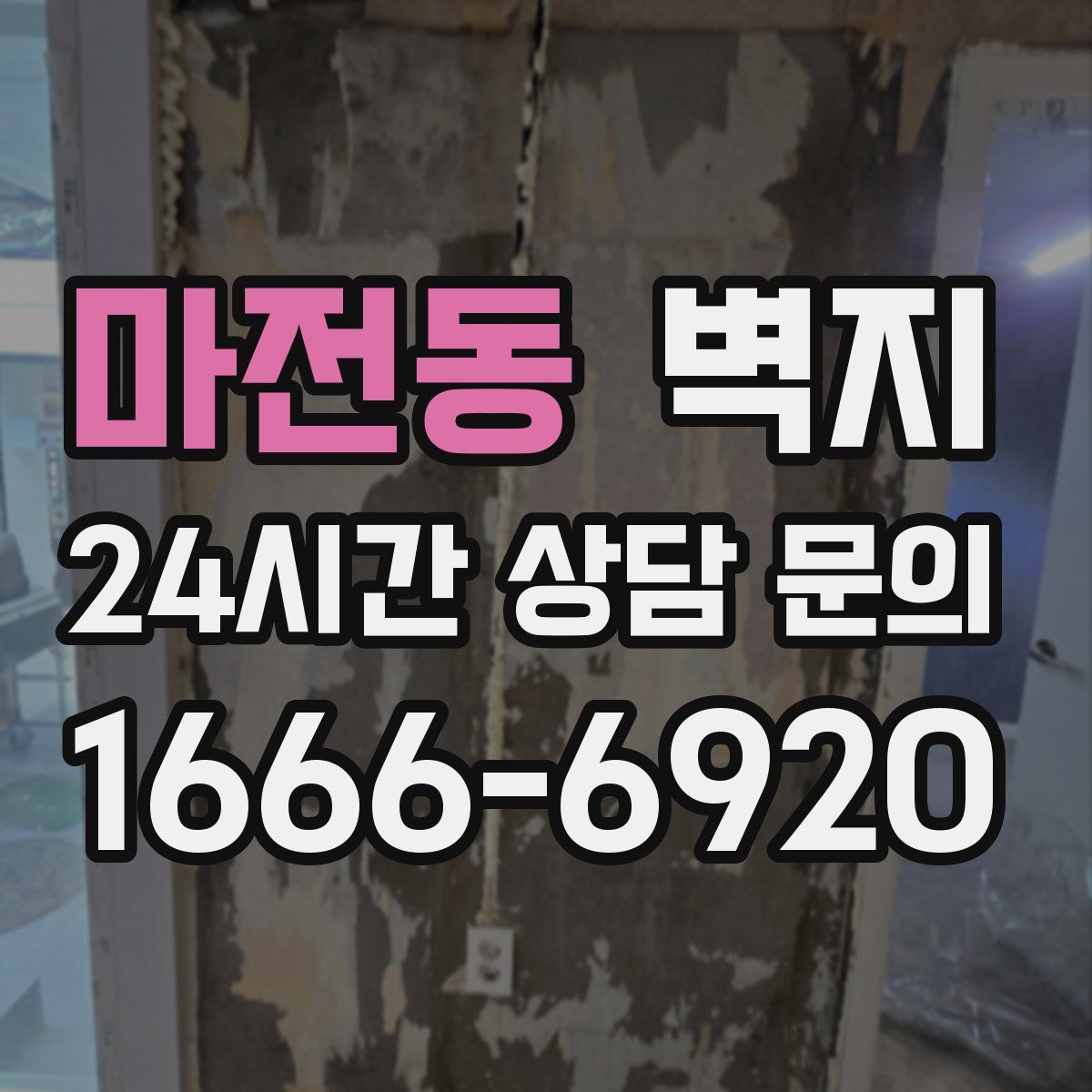 마전동 벽지