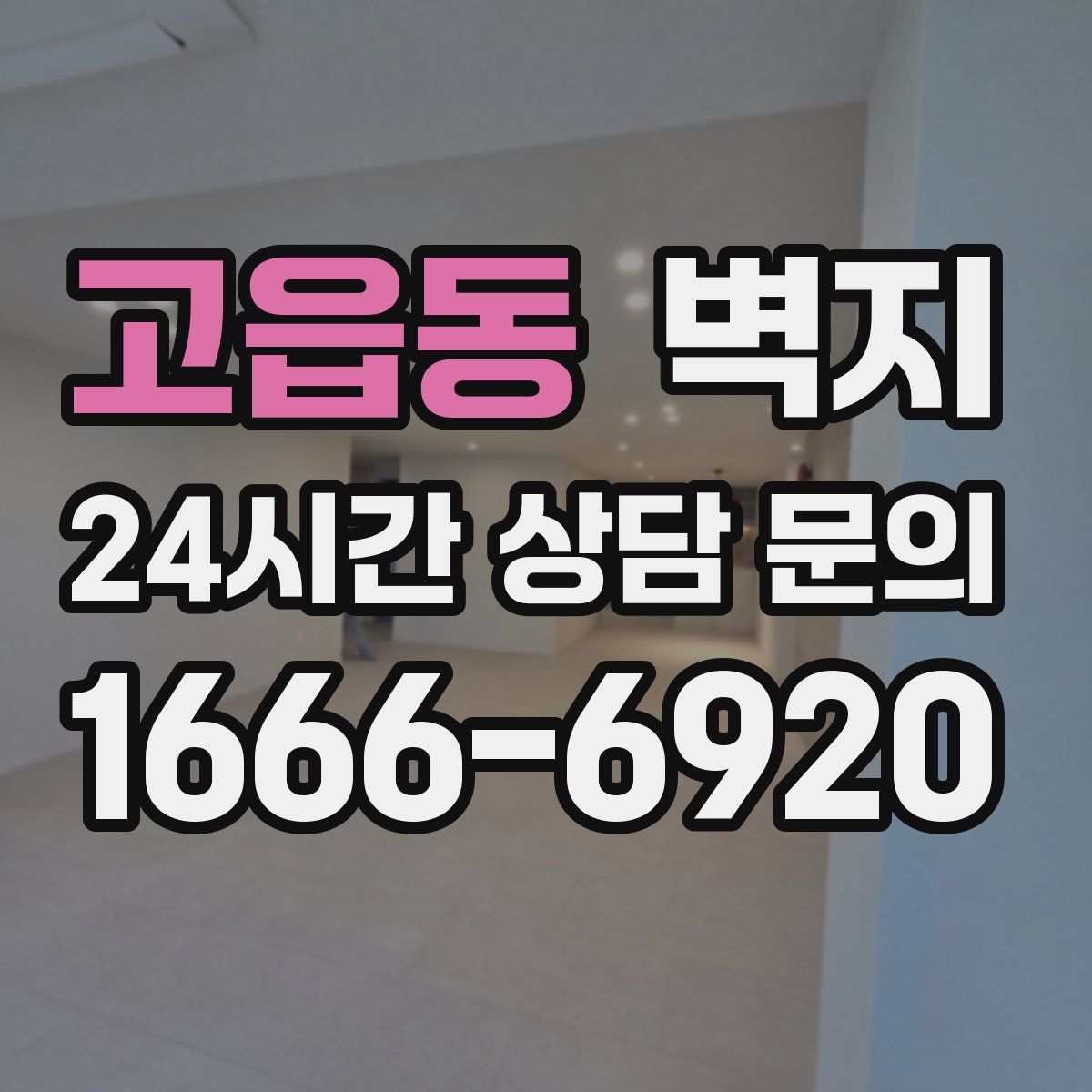 고읍동 벽지