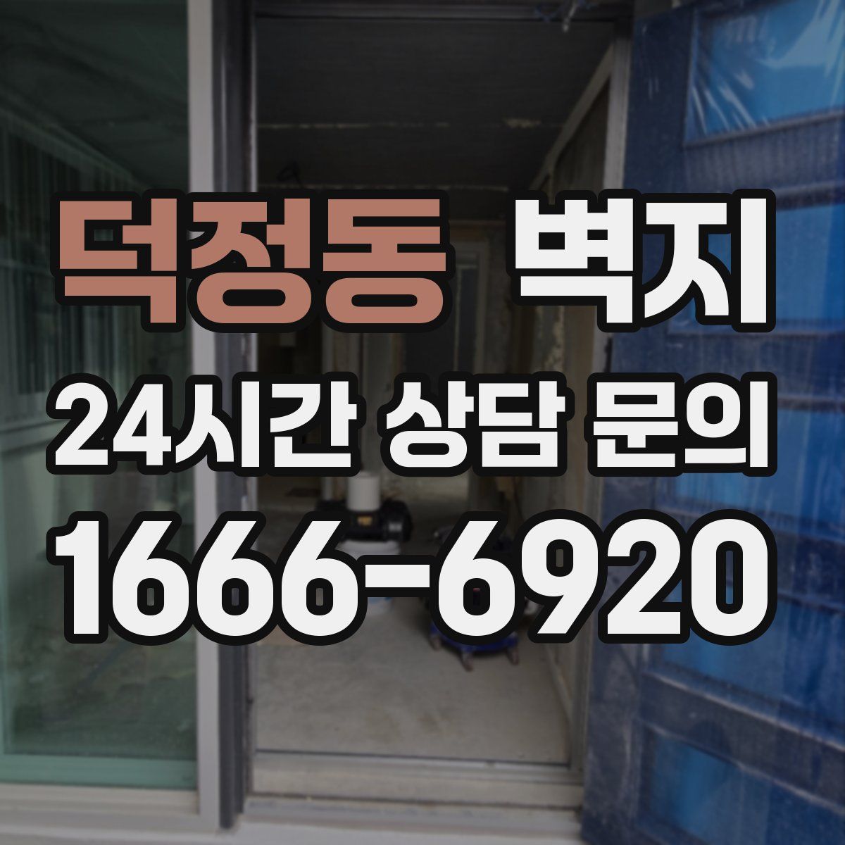 덕정동 벽지