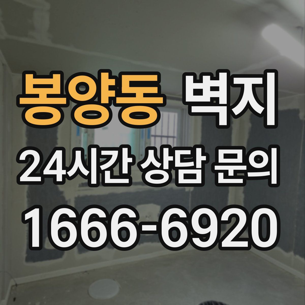 봉양동 벽지