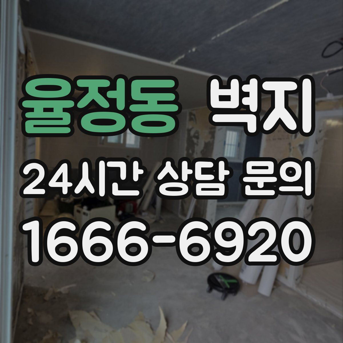 율정동 벽지