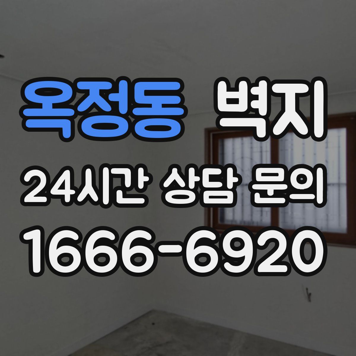 옥정동 벽지