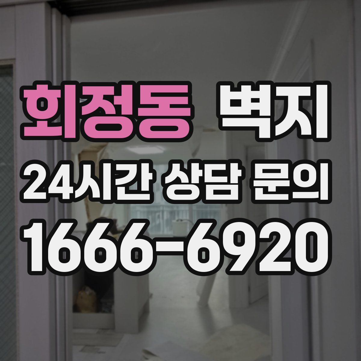 회정동 벽지