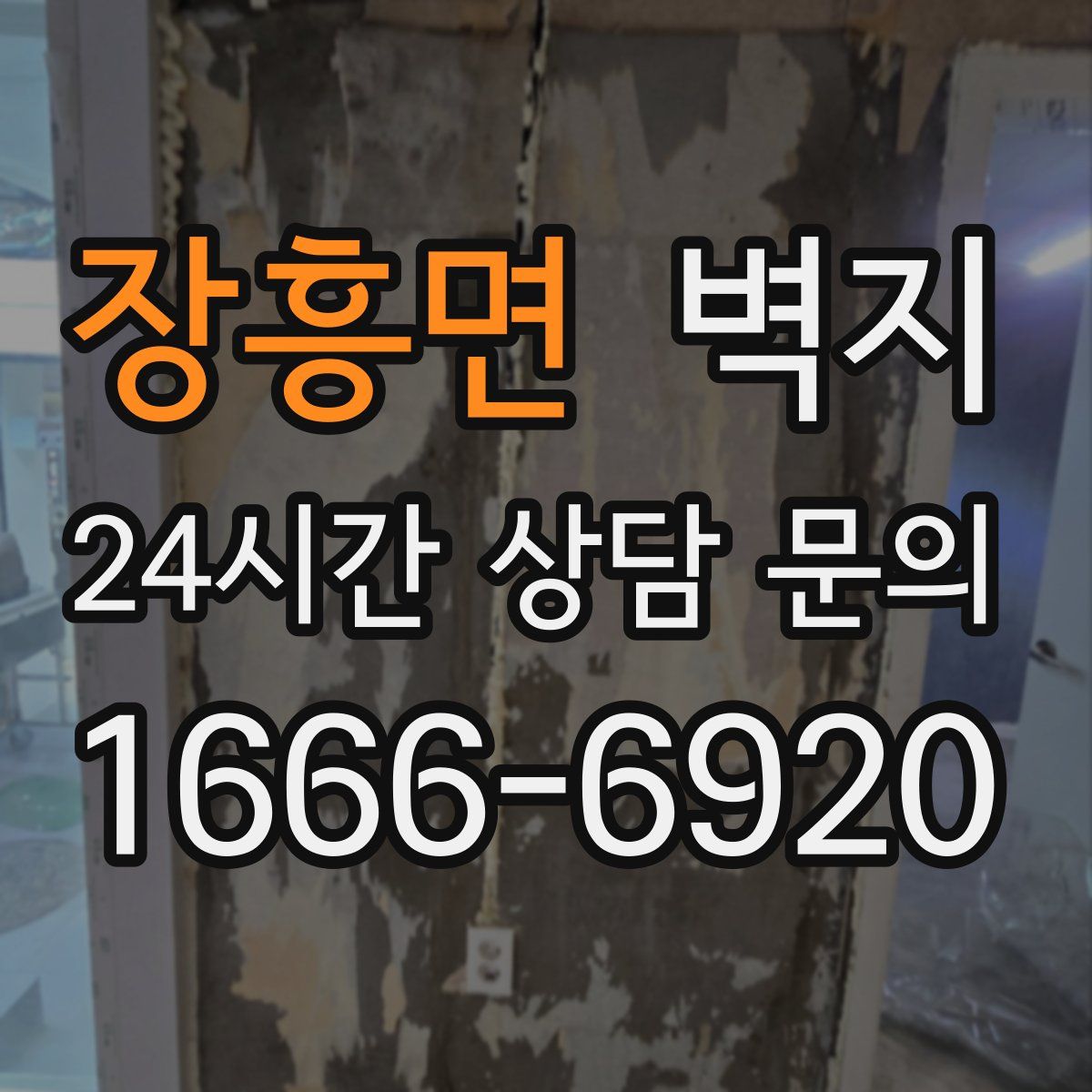 장흥면 벽지