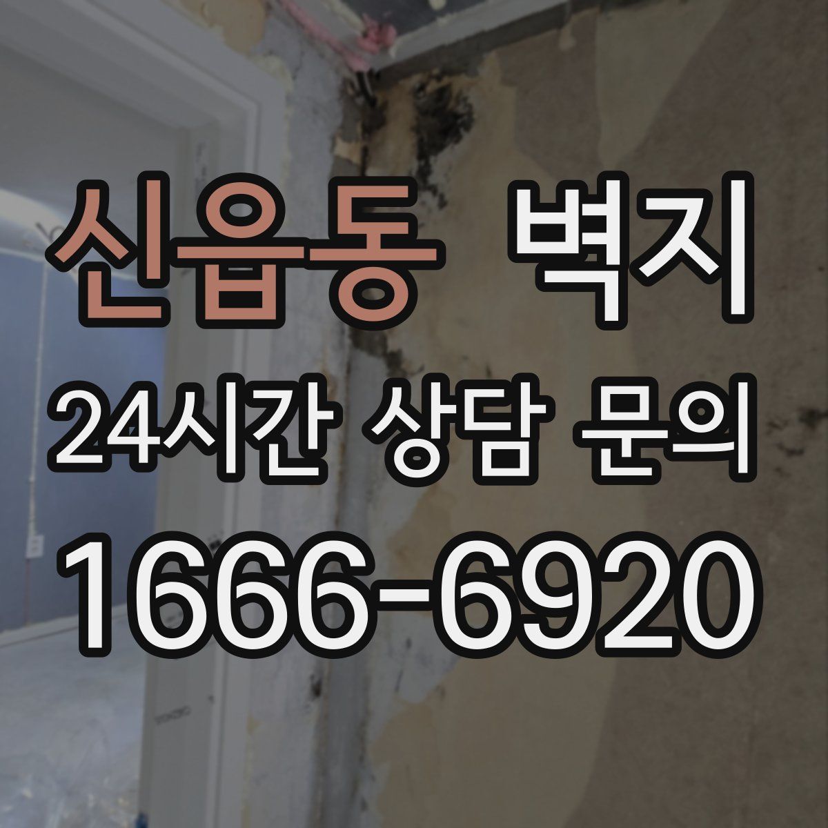 신읍동 벽지