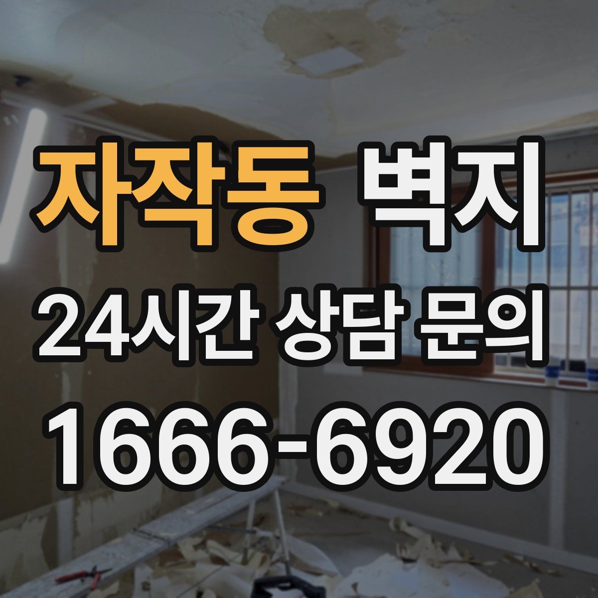 자작동 벽지