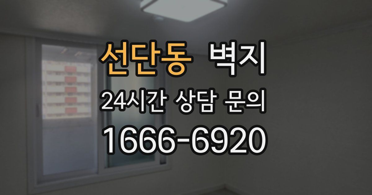선단동 벽지