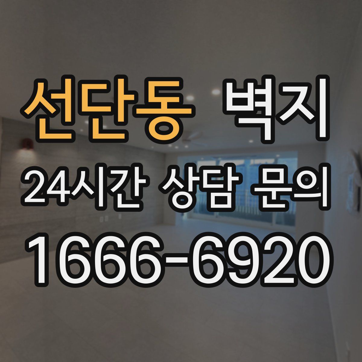 선단동 벽지