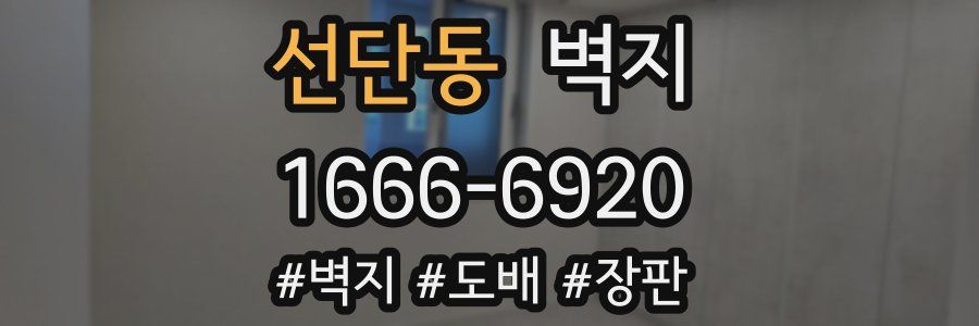 선단동 벽지