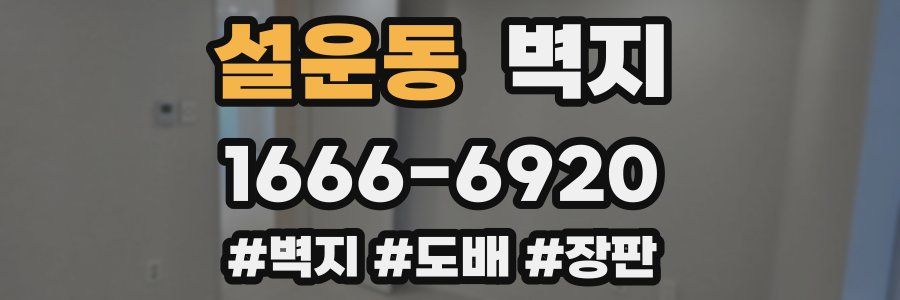 설운동 벽지