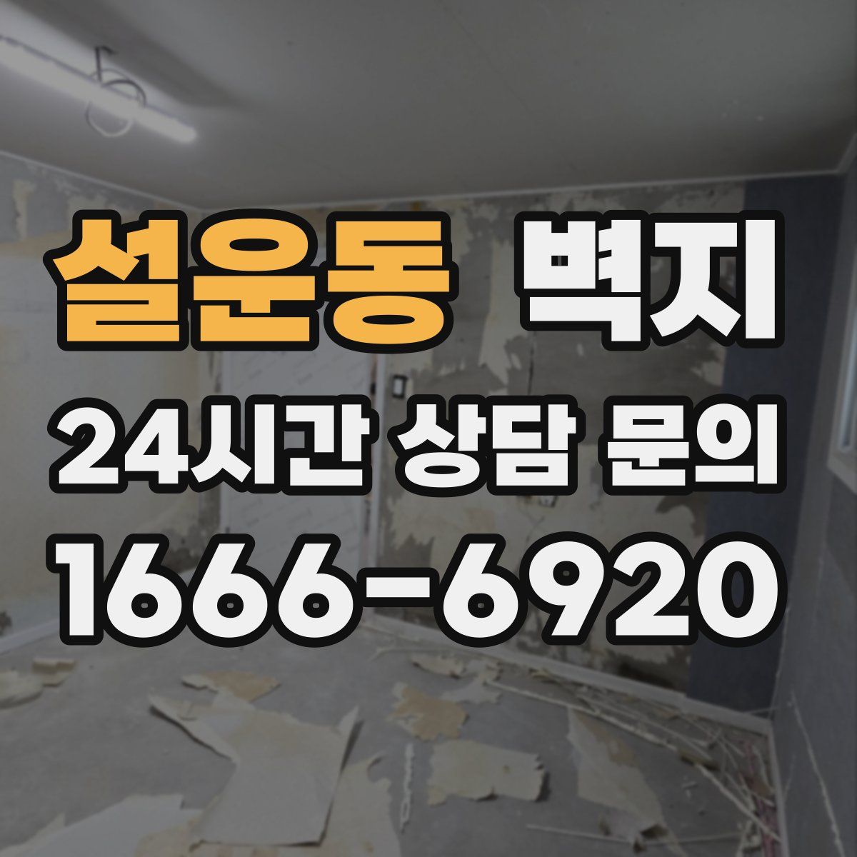 설운동 벽지