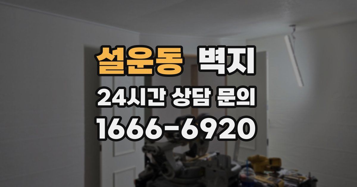 설운동 벽지