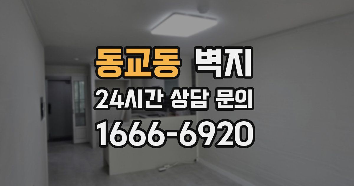 동교동 벽지