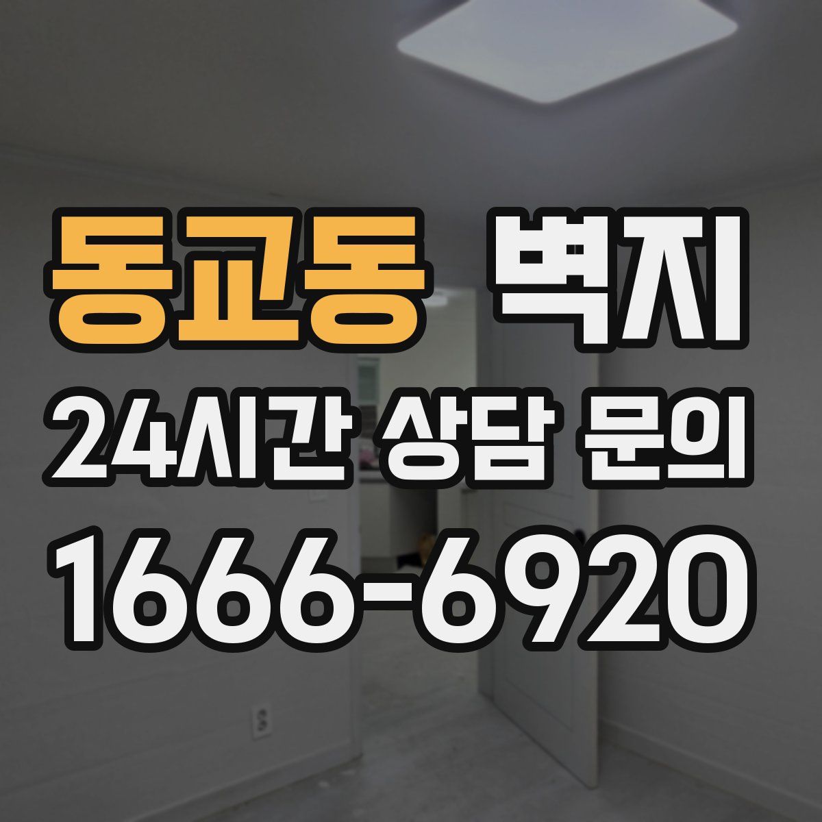 동교동 벽지