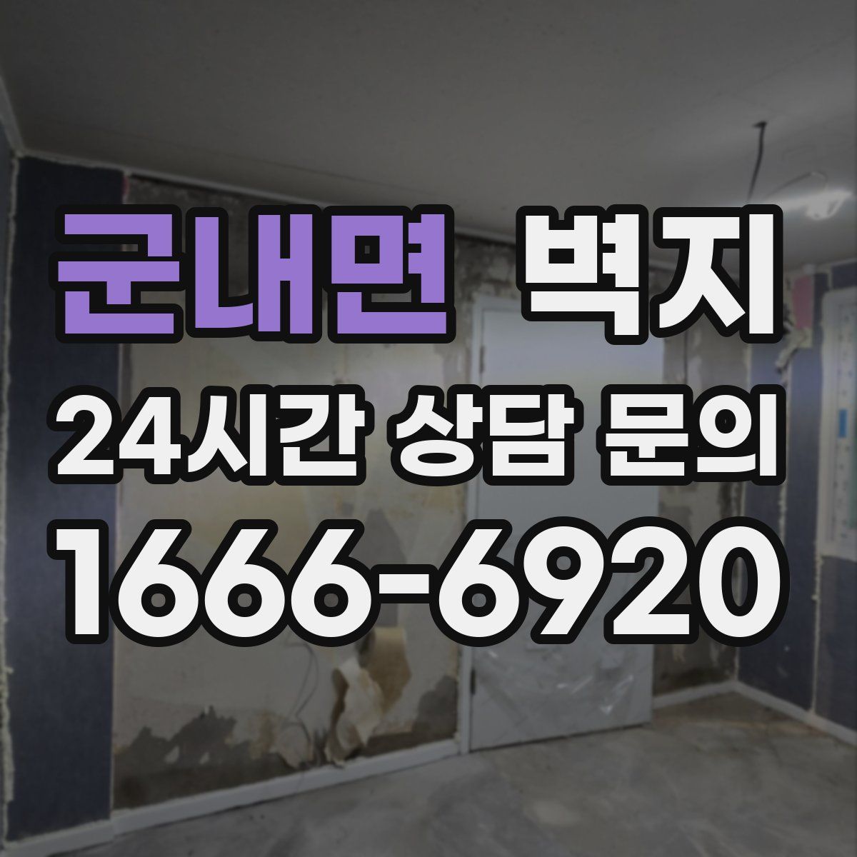 군내면 벽지