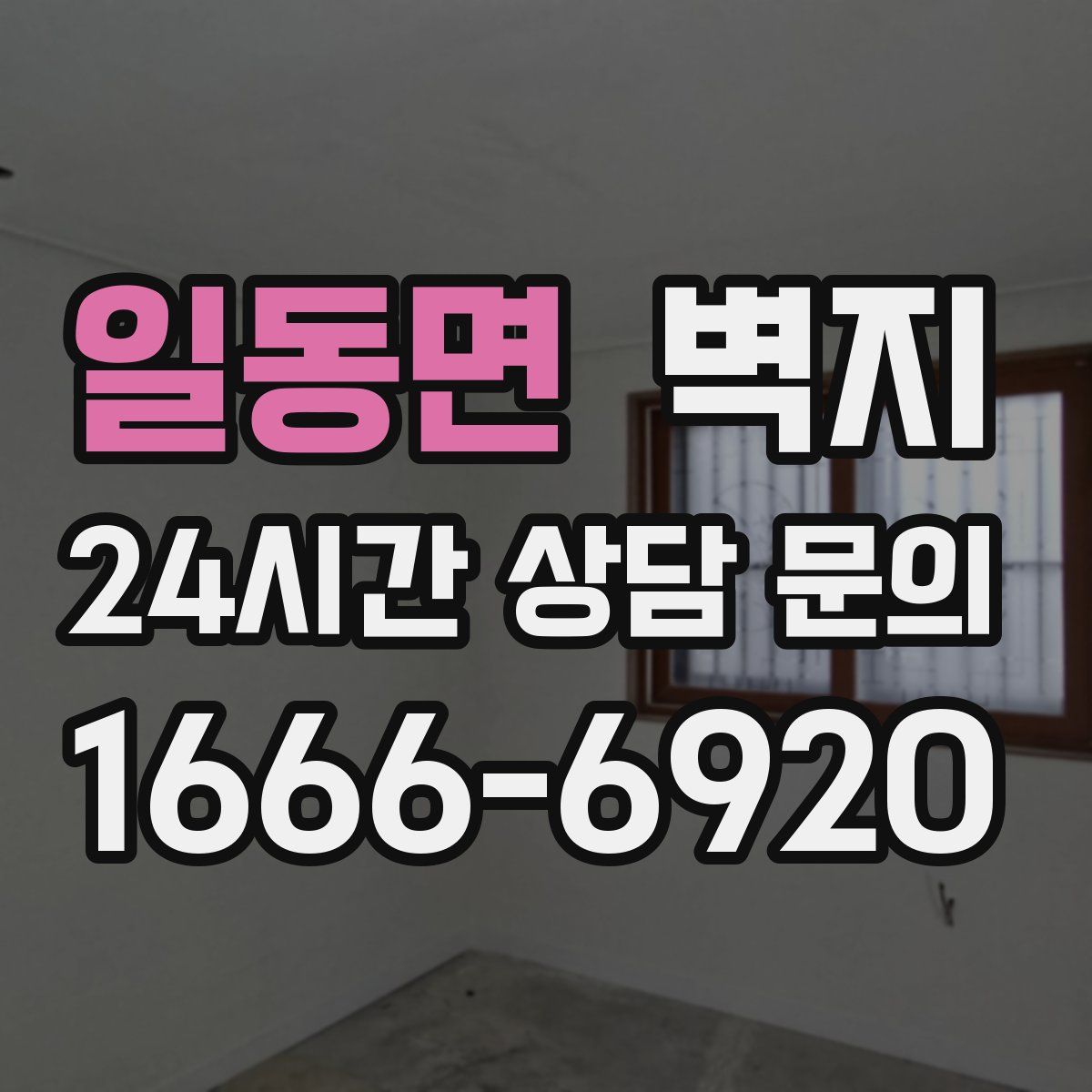 일동면 벽지