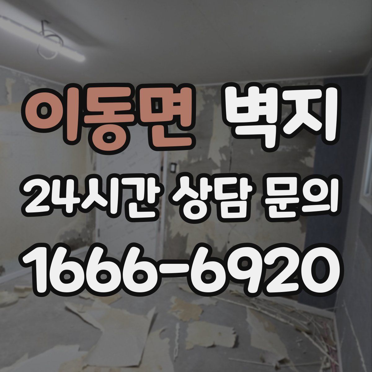 이동면 벽지