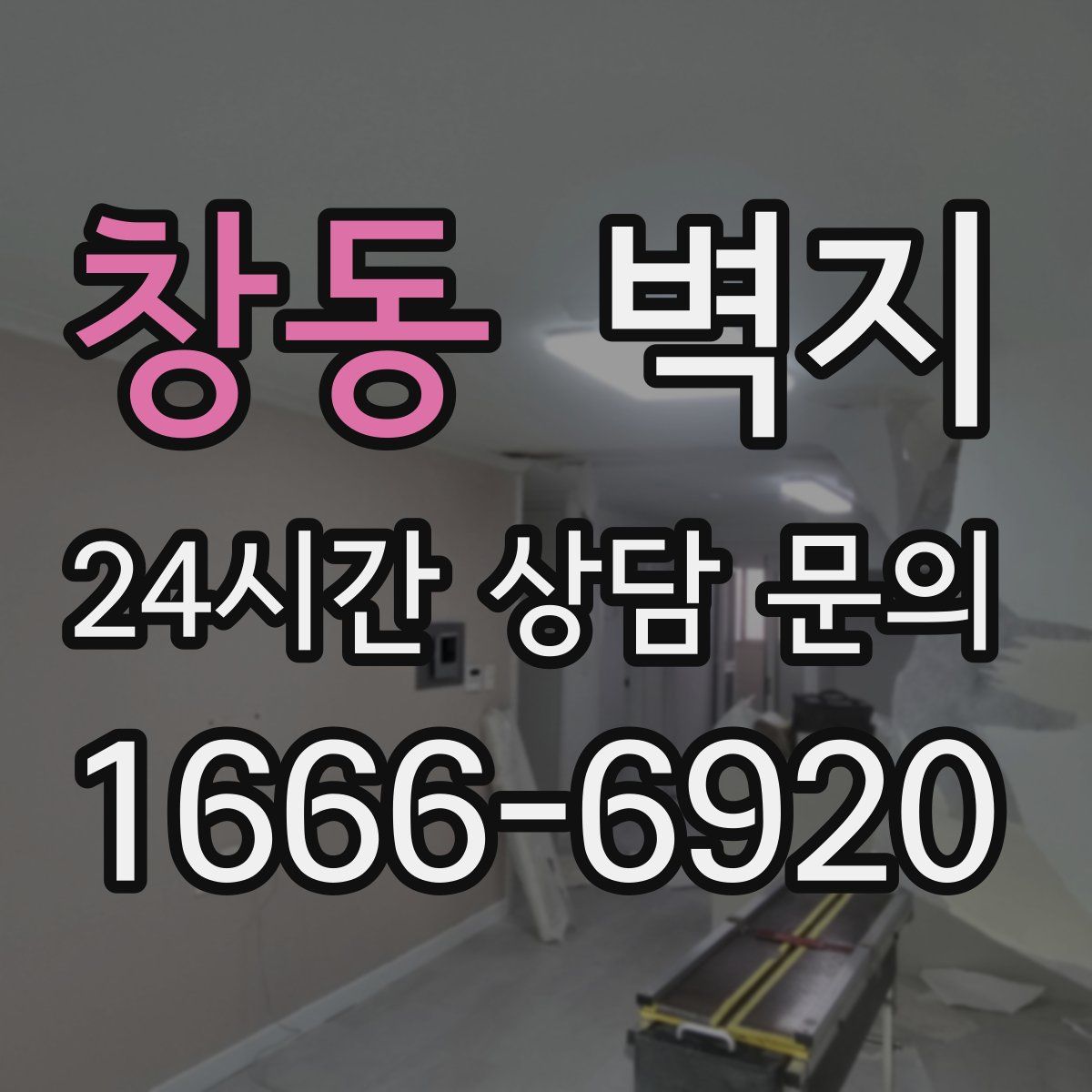 창동 벽지