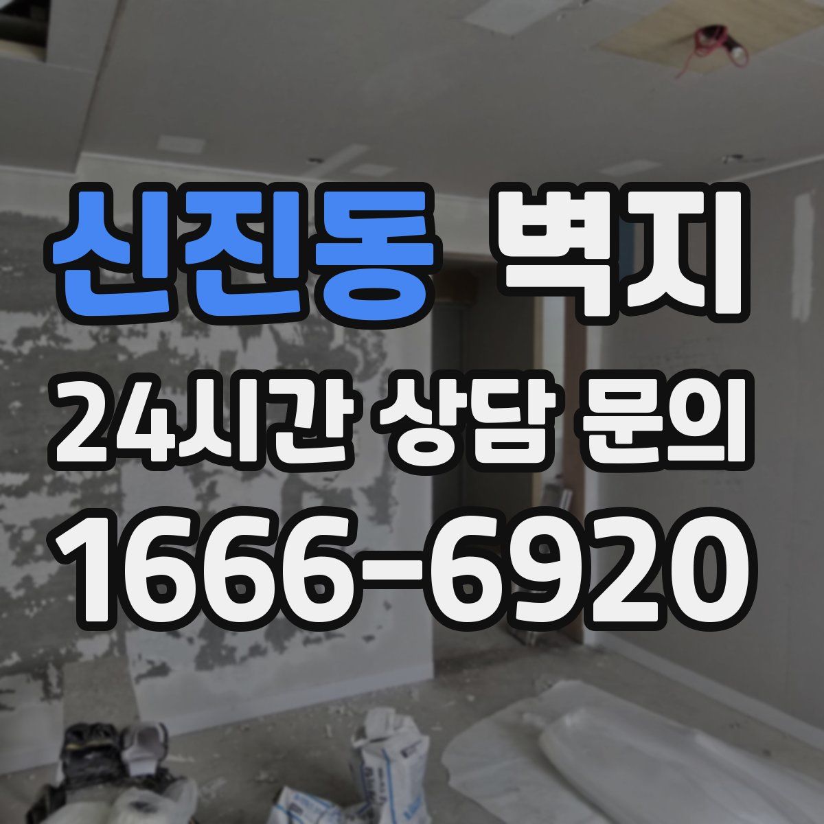 신진동 벽지