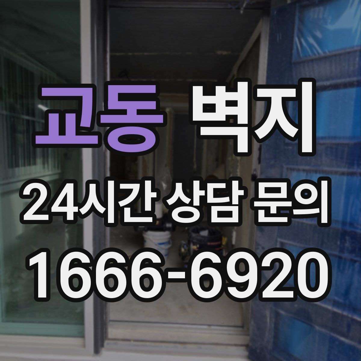 교동 벽지