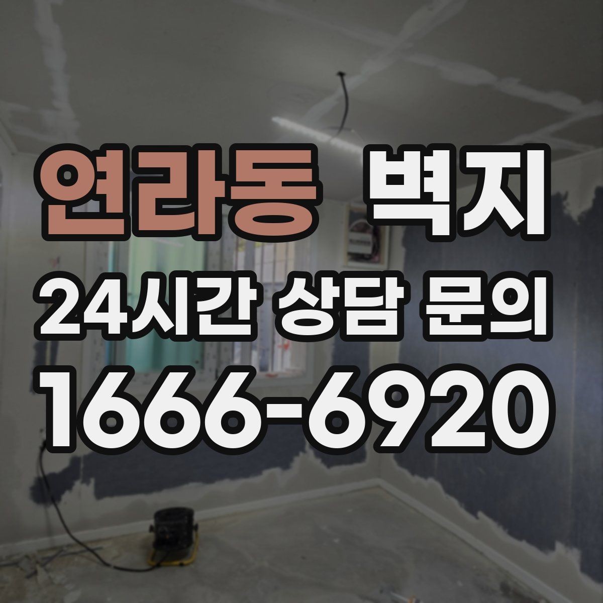 연라동 벽지 샘플 확인할 때 확인할 부분