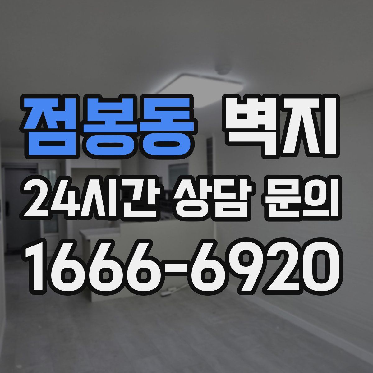 점봉동 벽지