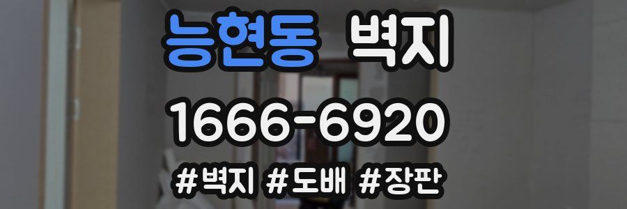 능현동 벽지