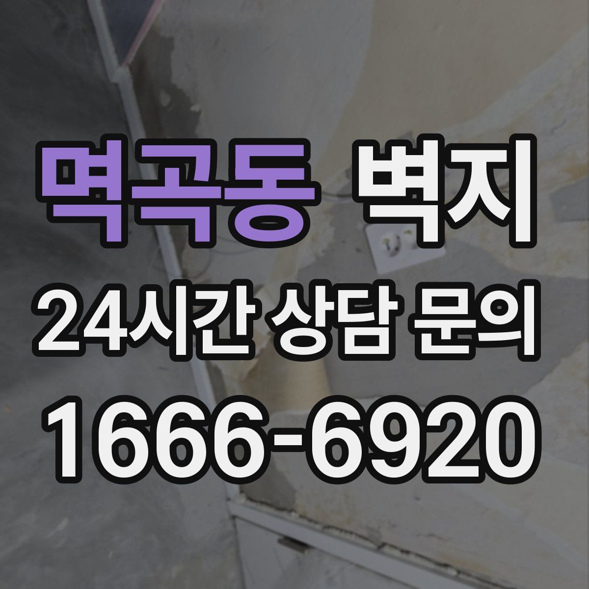 멱곡동 벽지