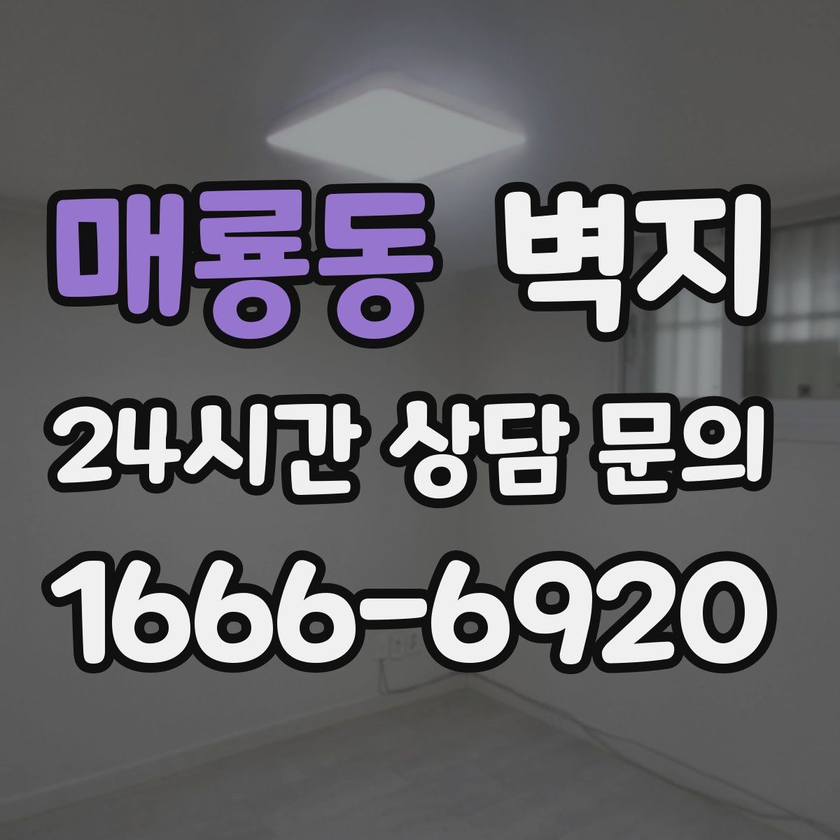 매룡동 벽지