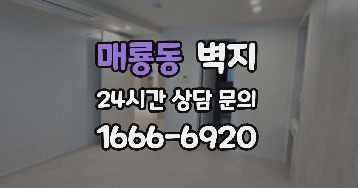 매룡동 벽지