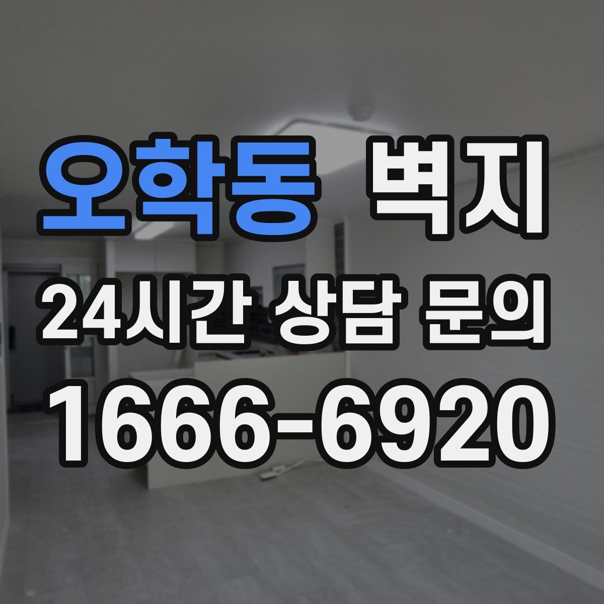 오학동 벽지