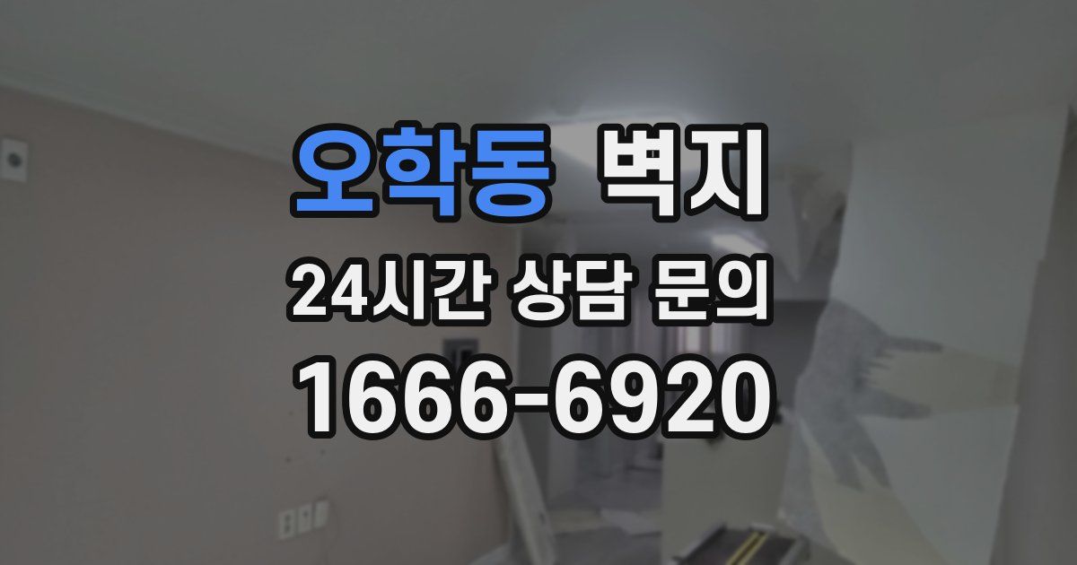 오학동 벽지