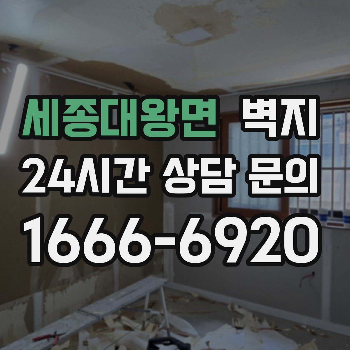 세종대왕면 벽지