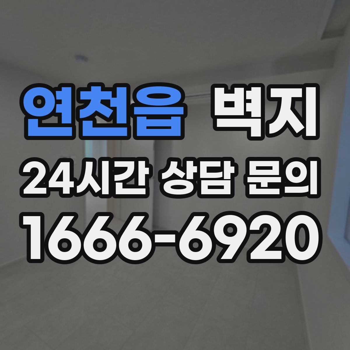 연천읍 벽지
