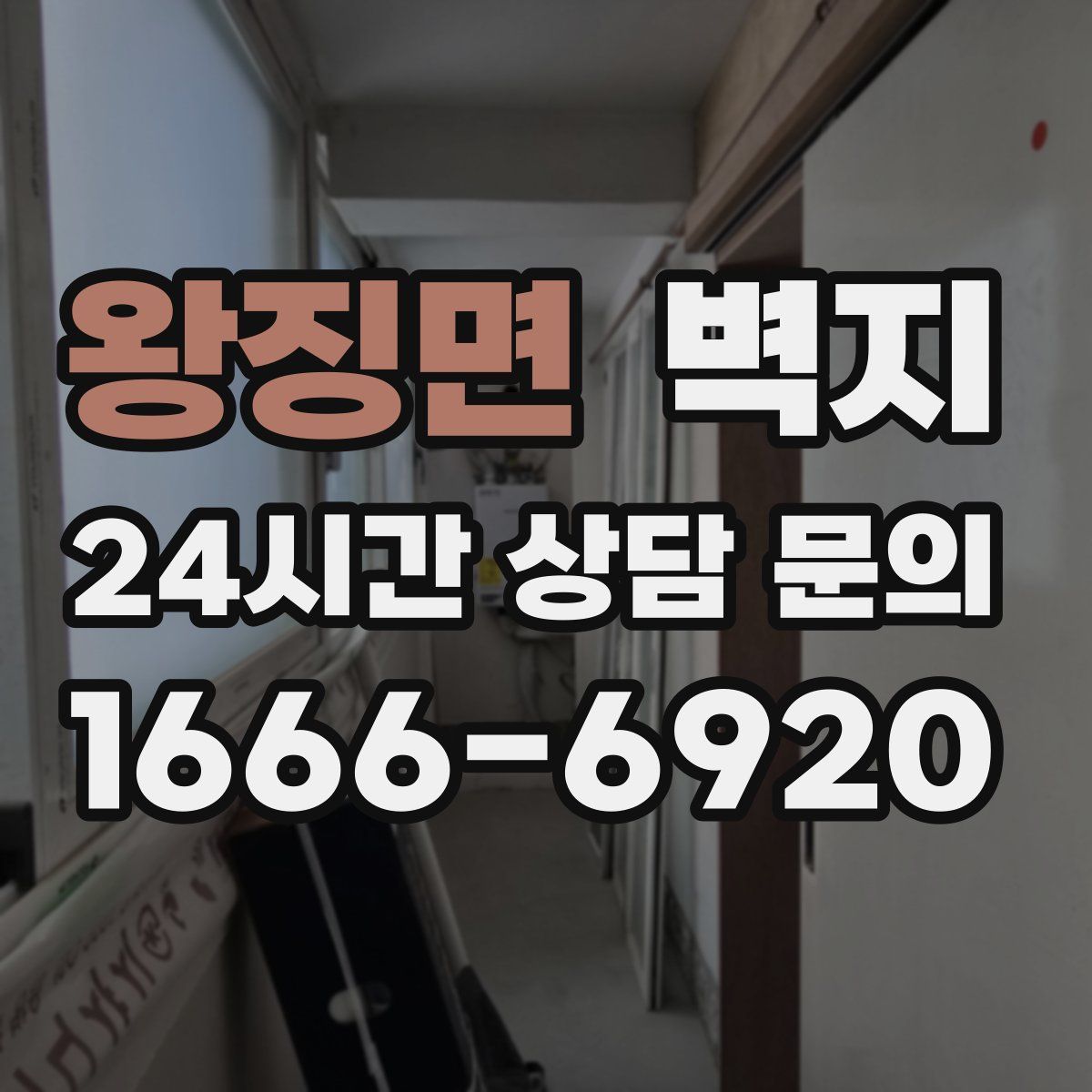 왕징면 벽지